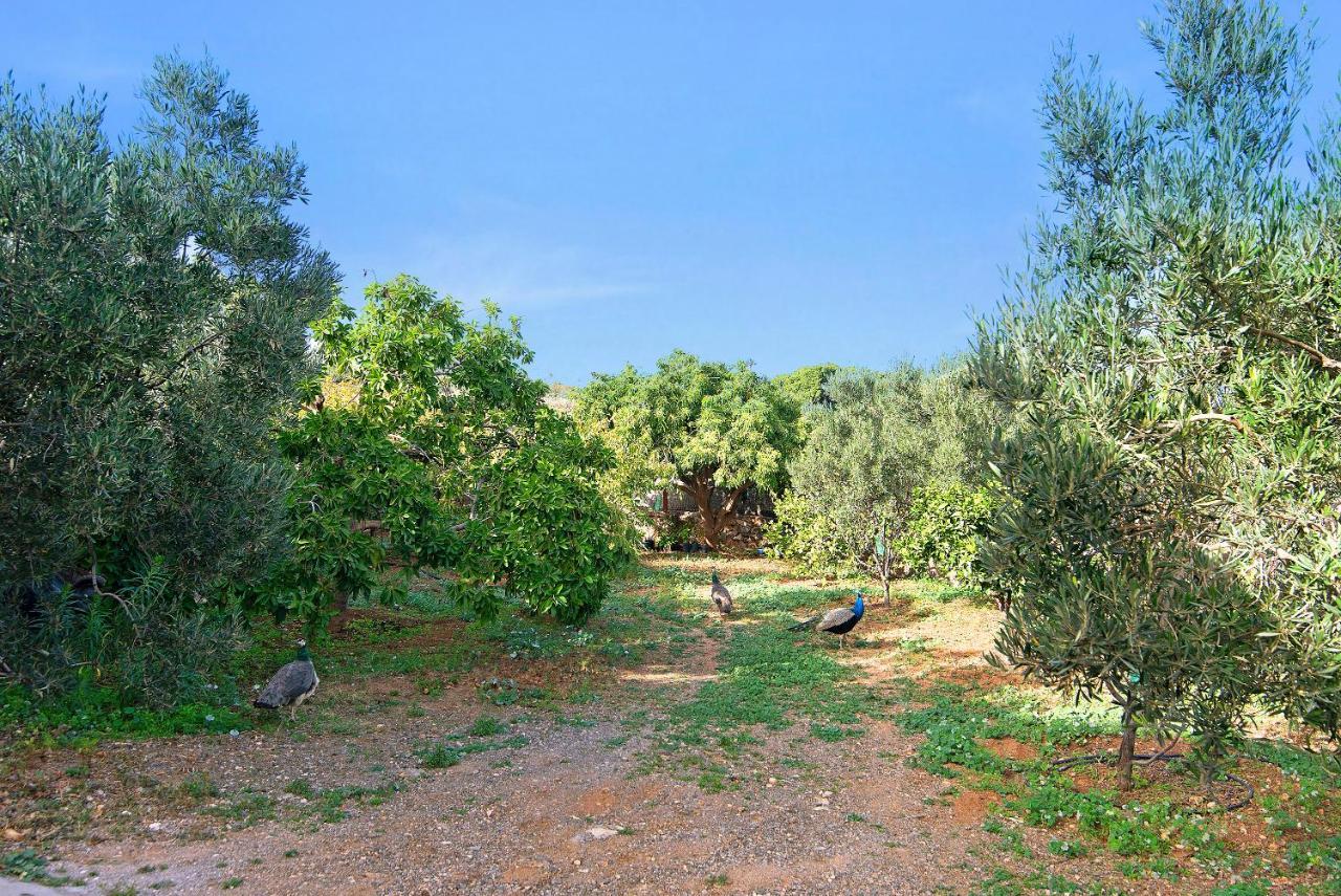 Casa Toscas Holiday home Ingenio